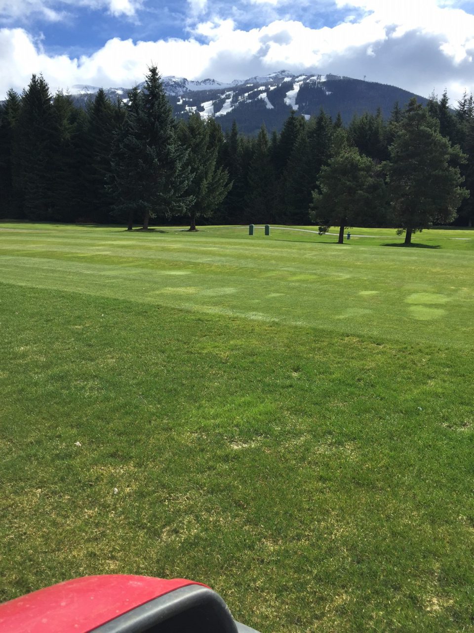 #1 Fairway. Photo taken March 24th.